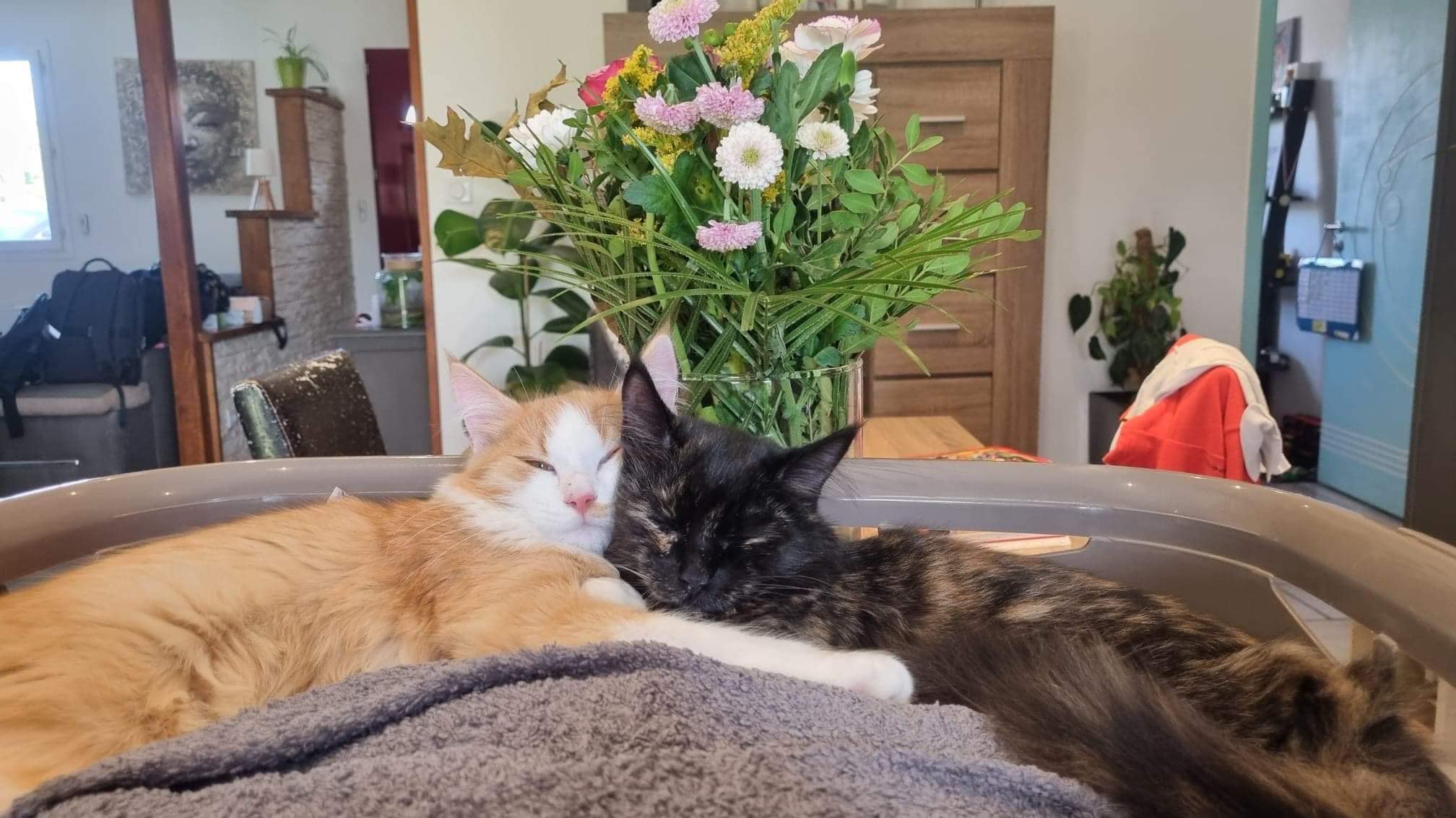  Tino & Taya 