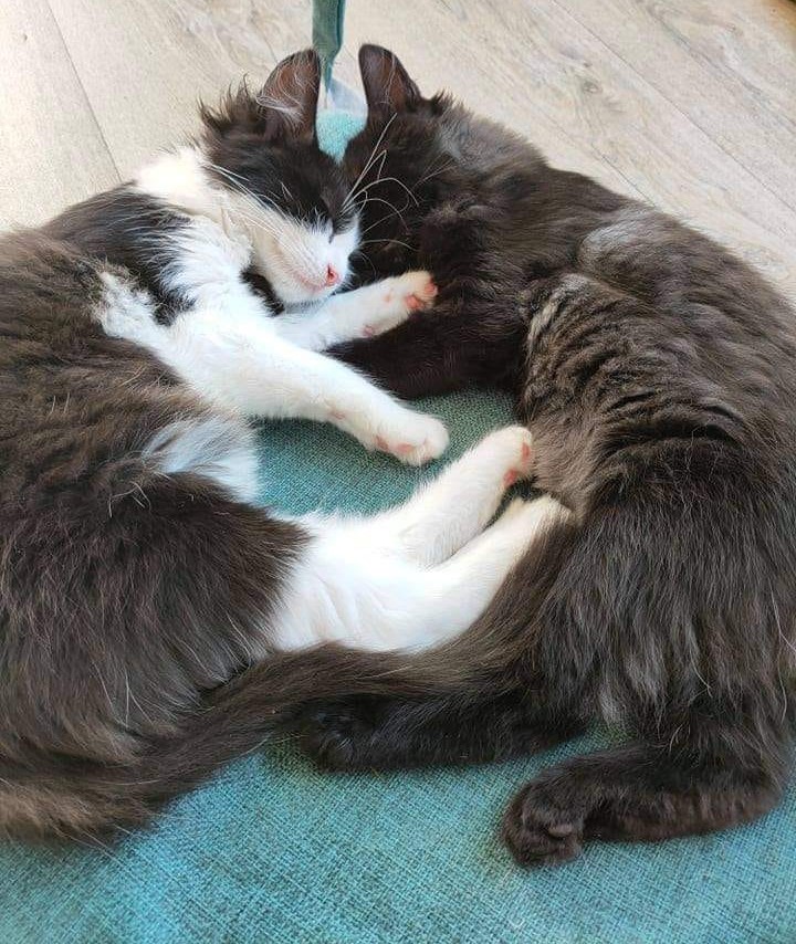 Bianca & Pie