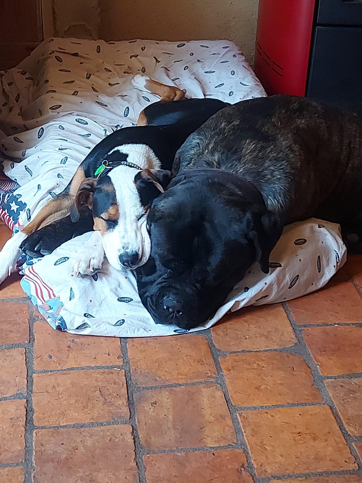 Bonny avec son grand frère