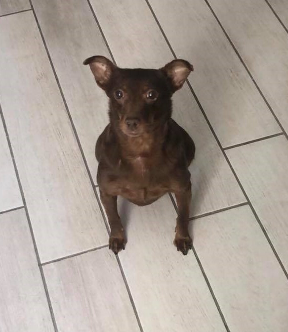 Caramel