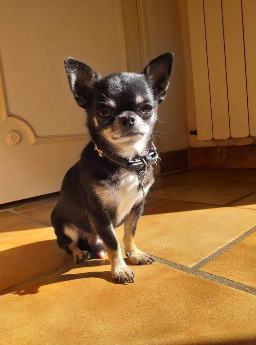 Charly 
