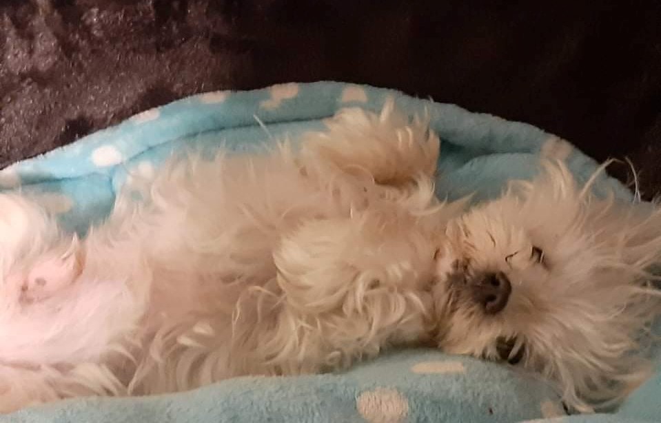 Charly rebaptisé Winny