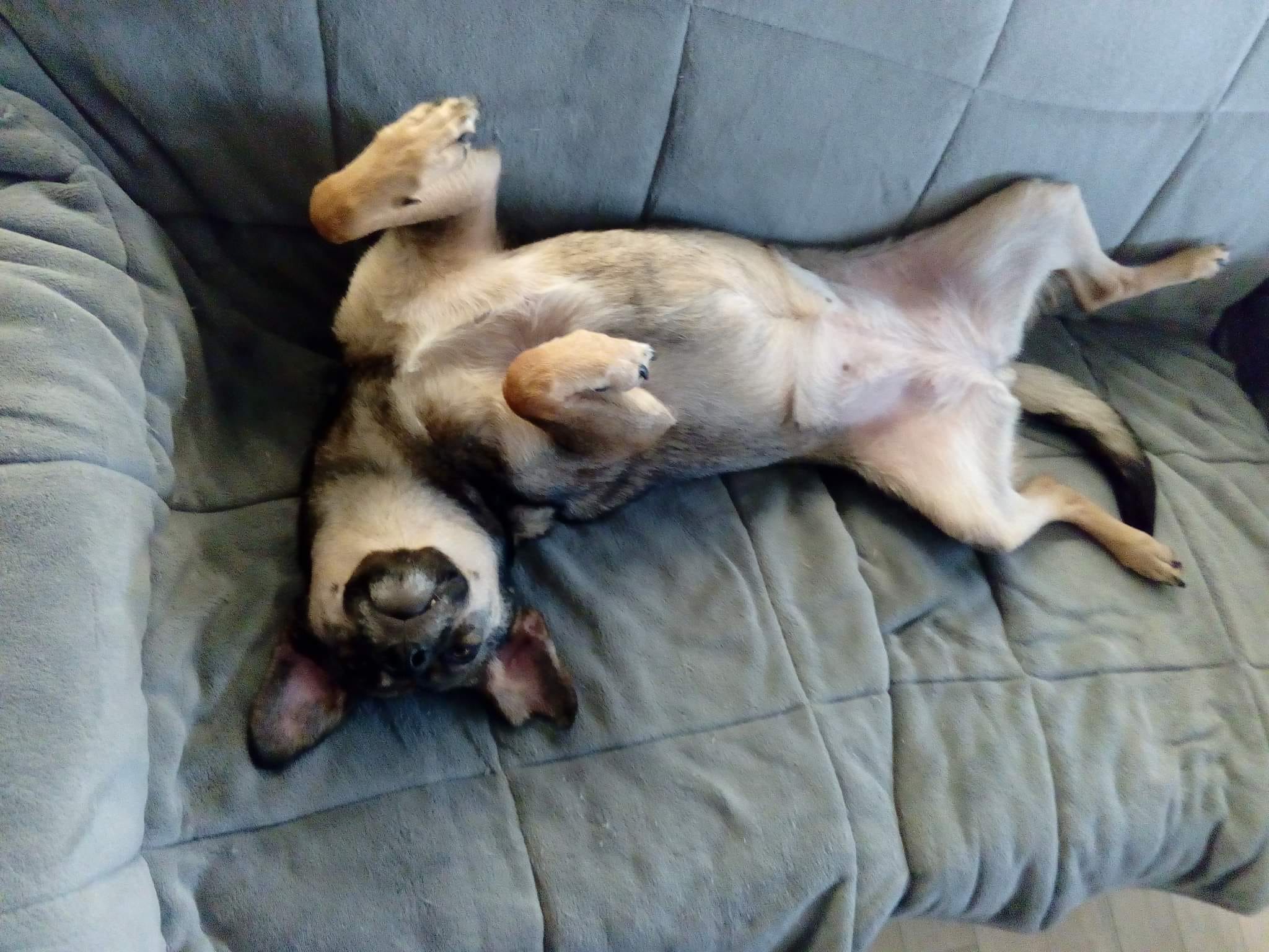 Chloé 