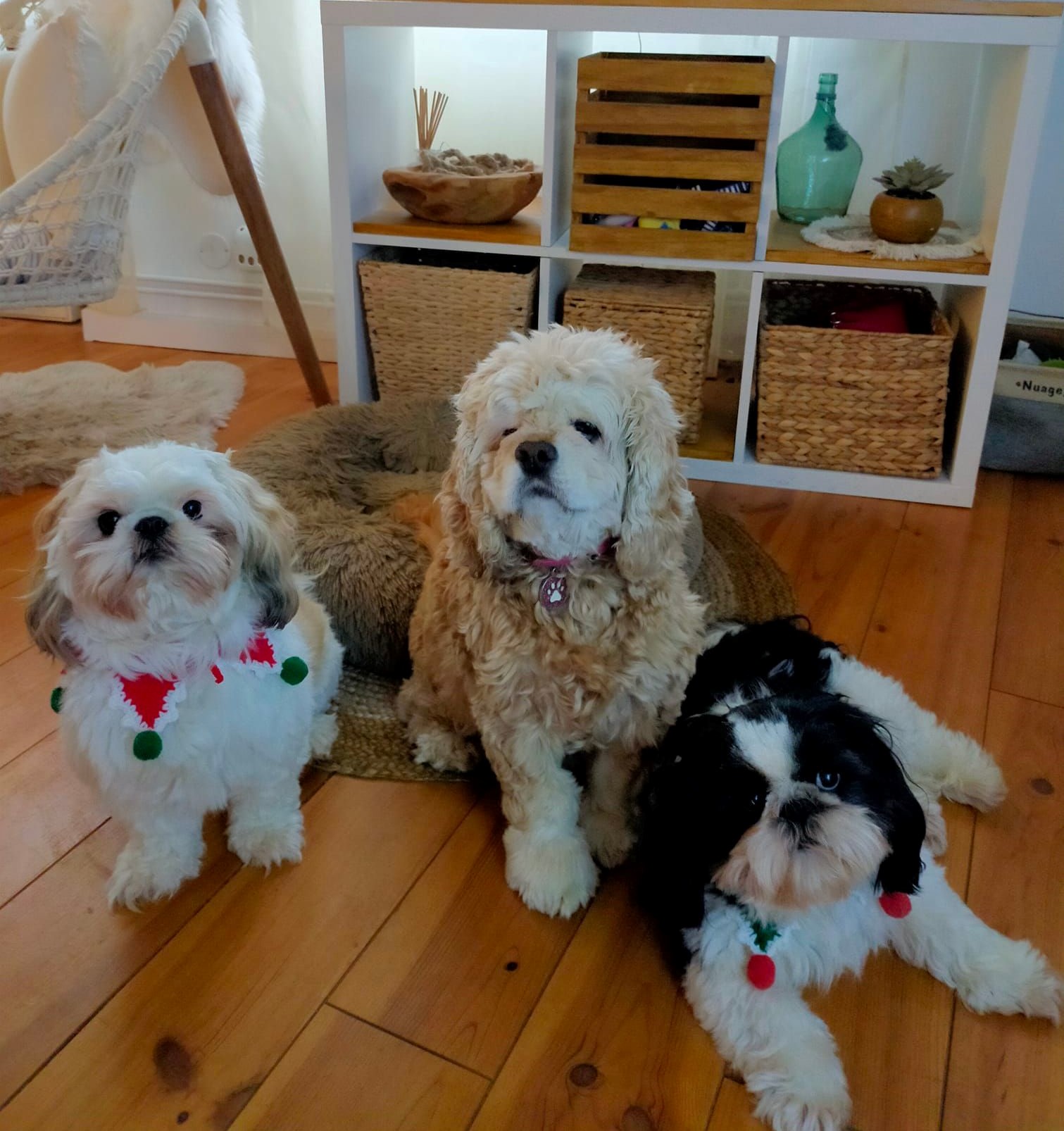 Fanny avec copains