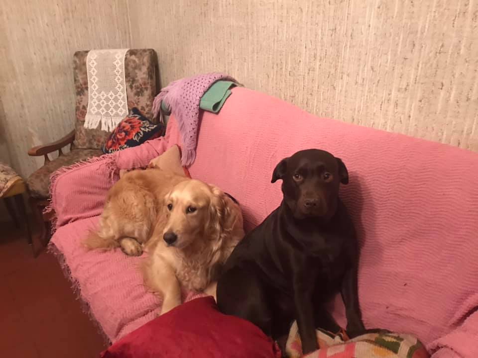 Jana et Noisette