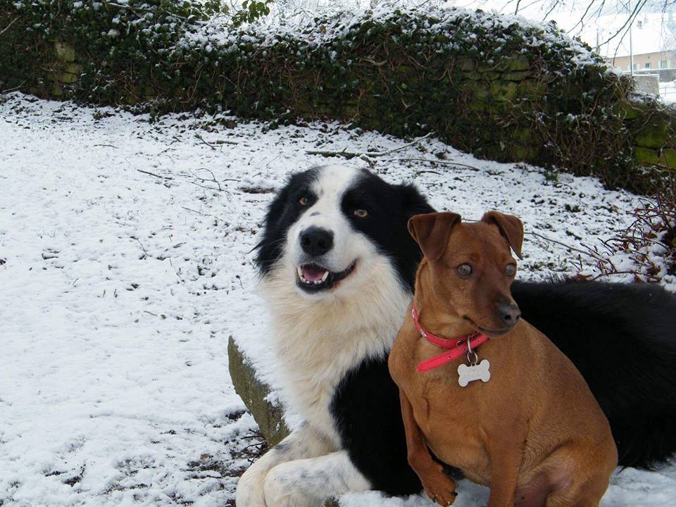 Jassy avec copain