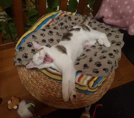 Lili 