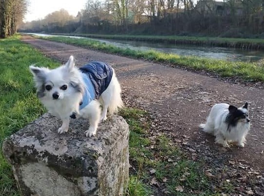 Lily et Nana