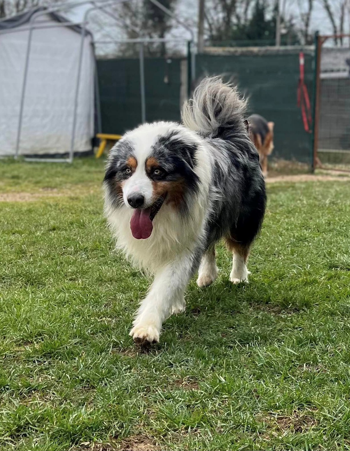 Max 
