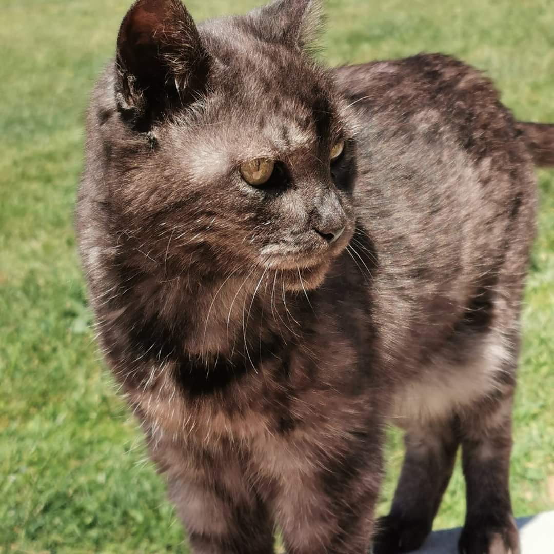 Mimi