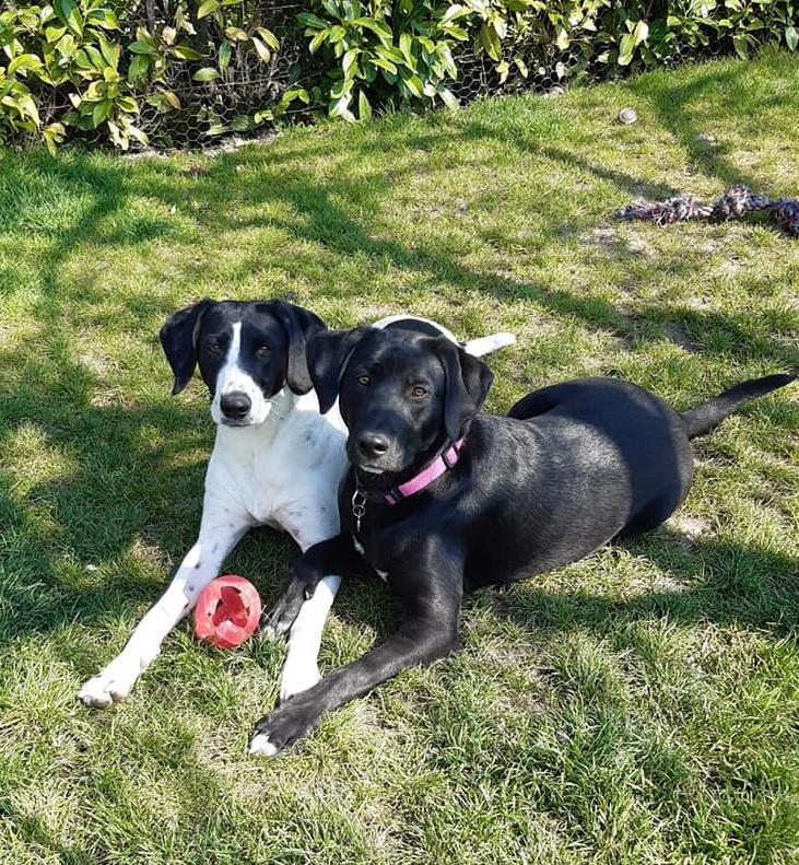 Océane et Pixie