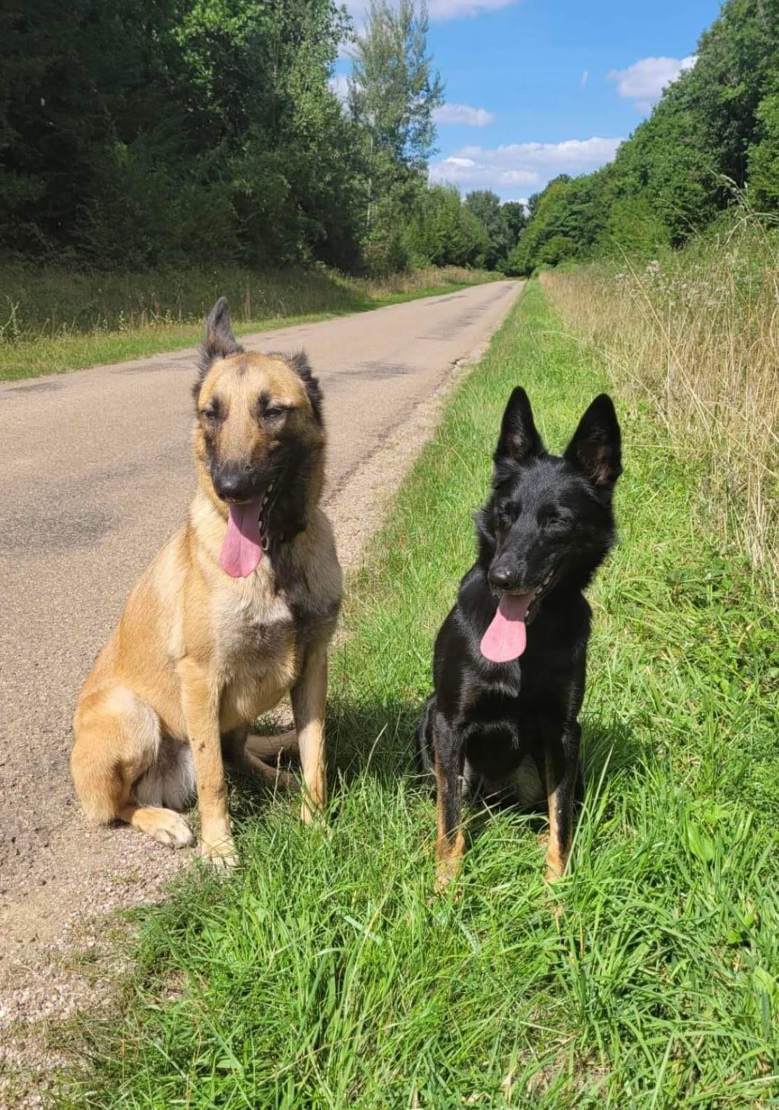 Paco & Pagaille