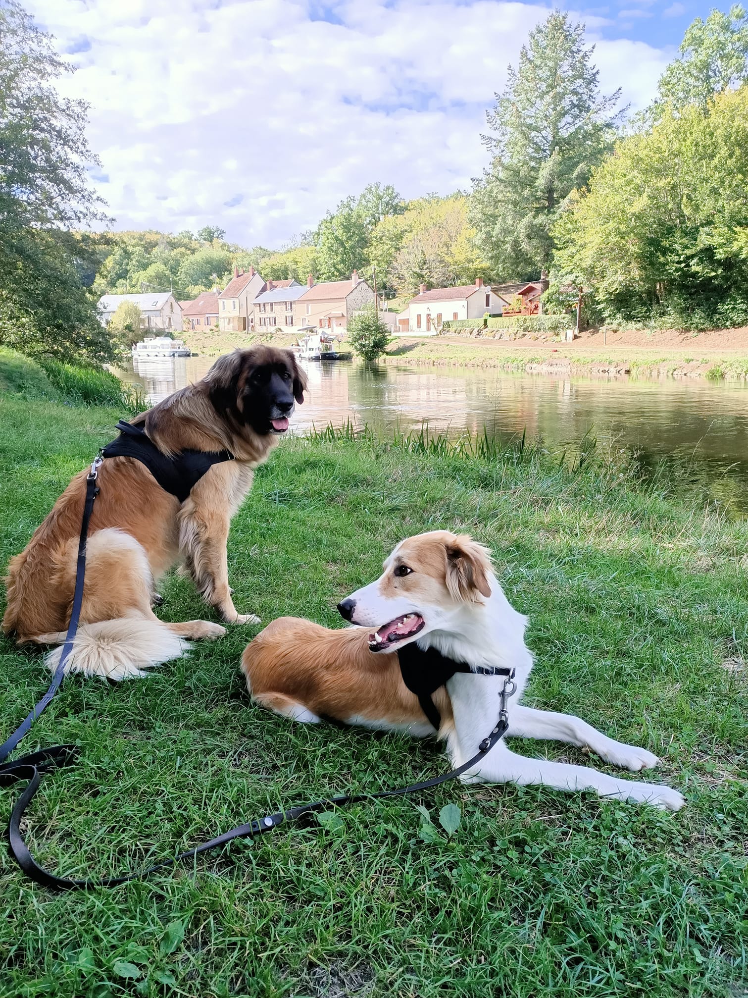 Pluto avec Norca