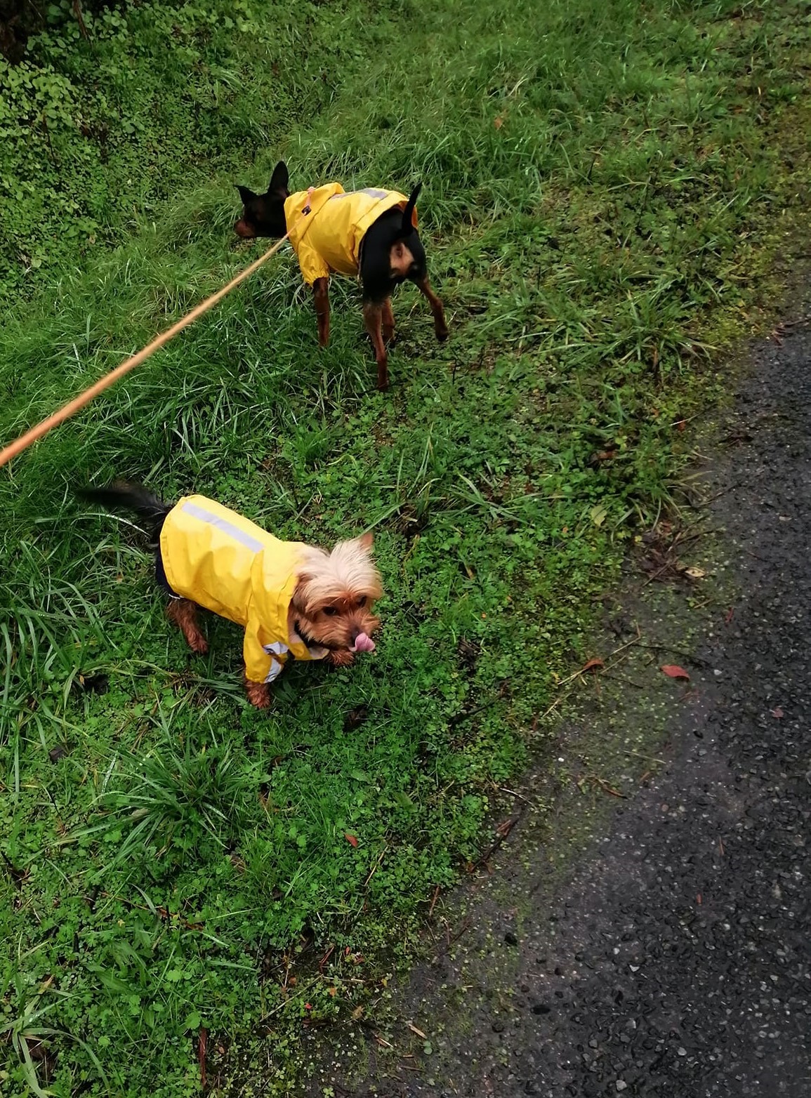 Poppy et Pablo