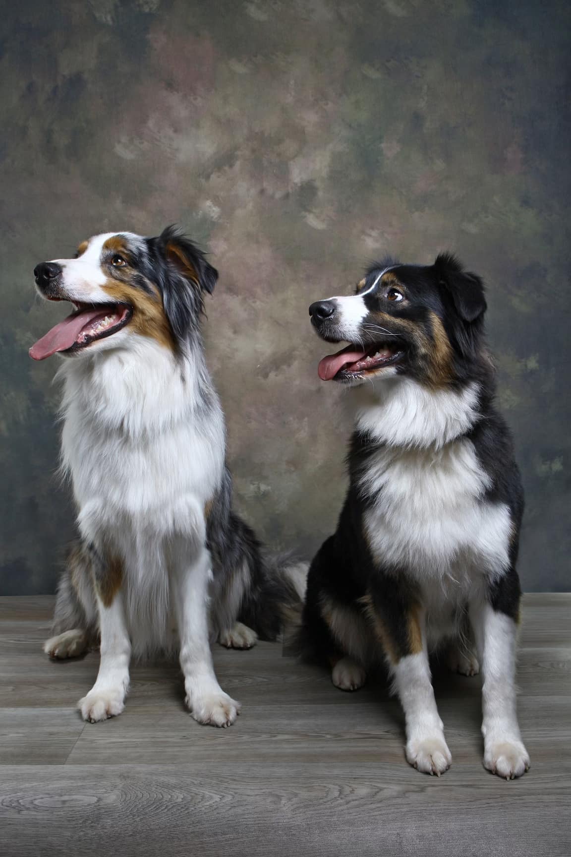 Rudo et Raiponce