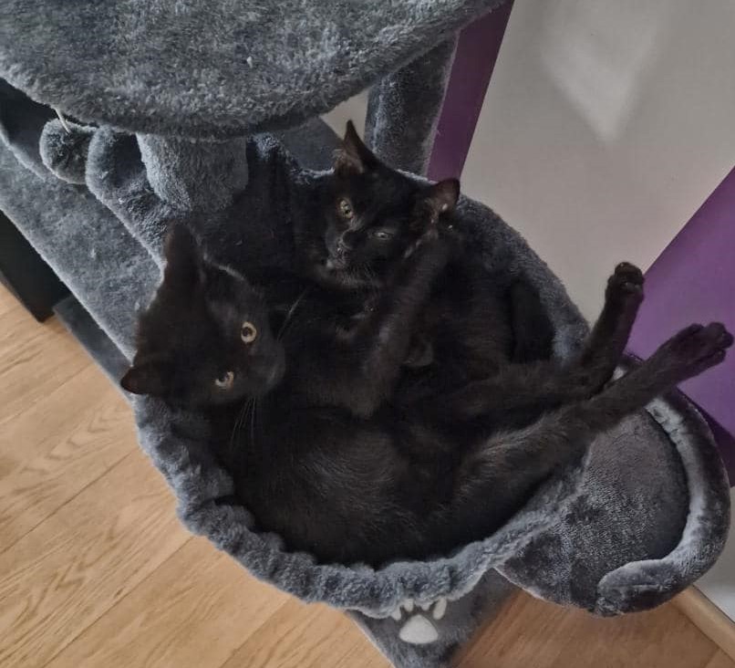 Tagada & Ti'chat