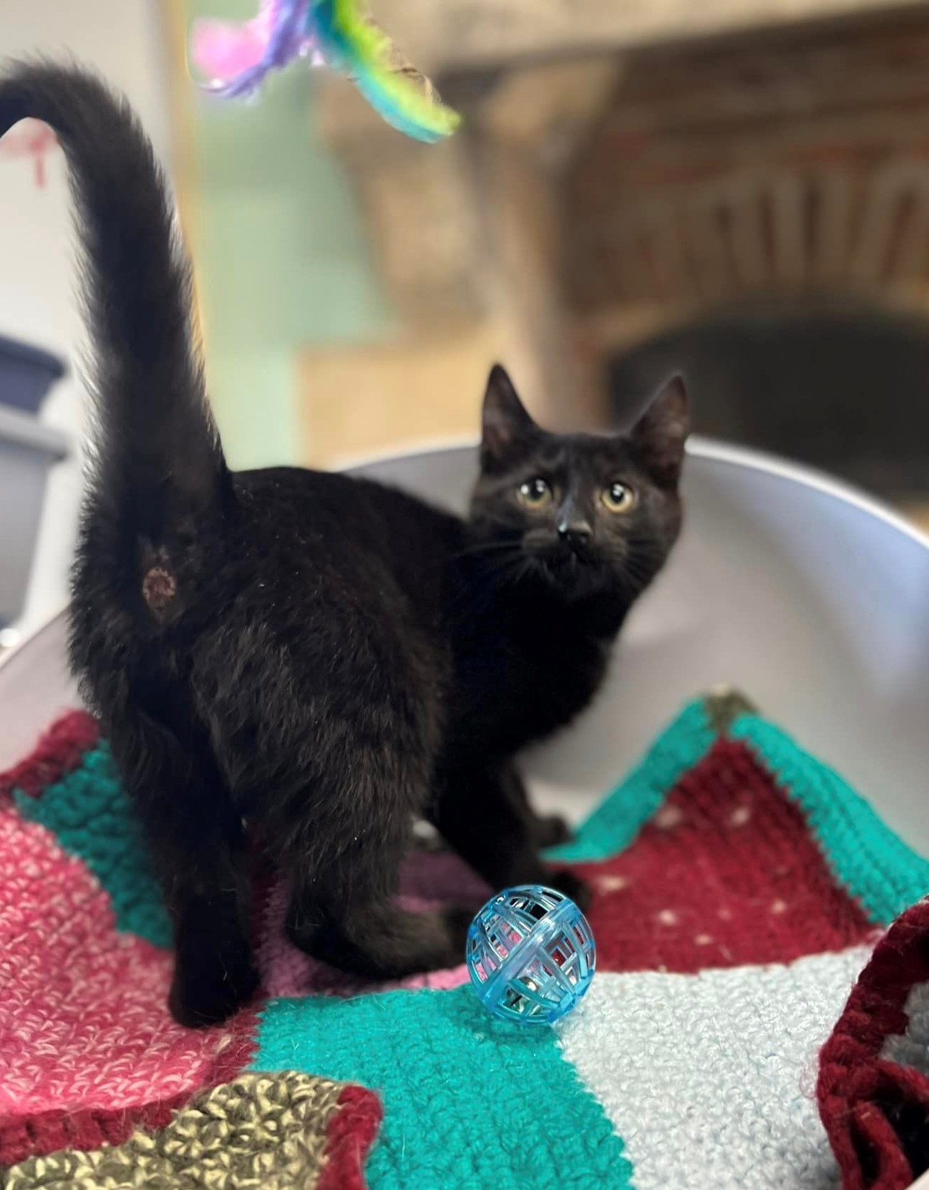 Ti'chat 