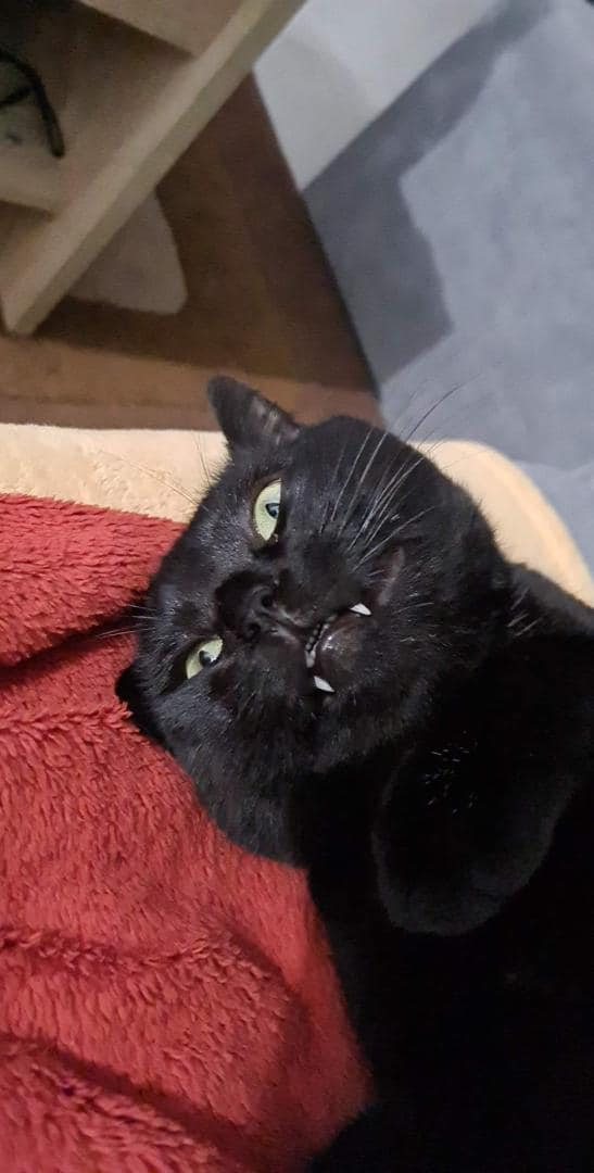 Titus 