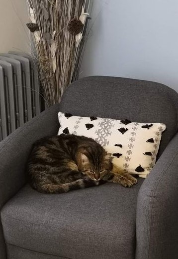 Tom