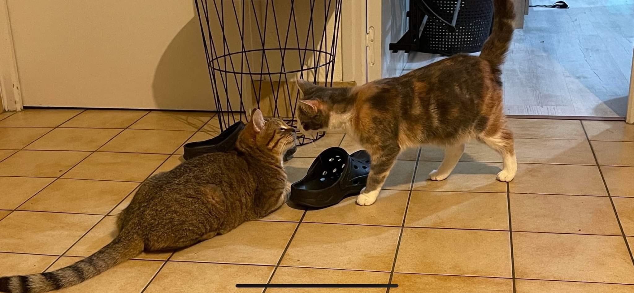 Trésor & Tina