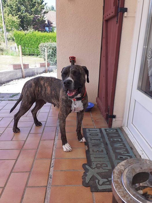 Xena